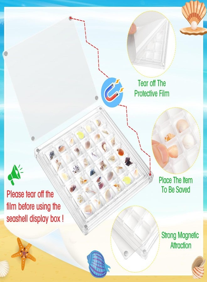 Reallnaive 6 Pcs Acrylic Magnetic Seashell Display Box with Multicolor Base 36 Grids Clear Seashell Collection Box Seashell Storage Organizer for Diamond Gemstone Beads - Image 3